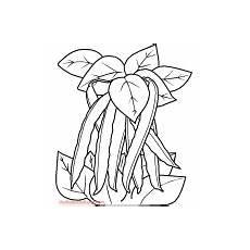 老奶奶收南瓜简笔画